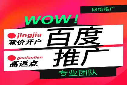 行业领先的SEM推广代运营公司案例集锦